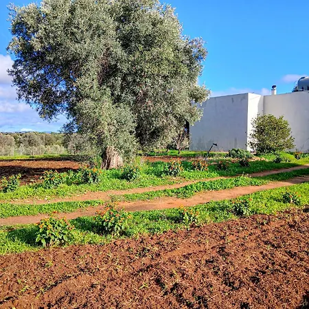 Casa Tosca Appartement Santo Pietro (Catania)